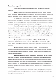 www.speros.lt